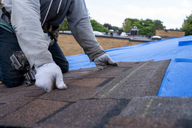 Quick and Trustworthy Emergency Roof Repair Services in Okemos, MI