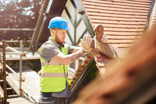 Best Roof Gutter Cleaning  in Okemos, MI